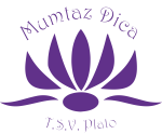 Logo Mumtaz Dica